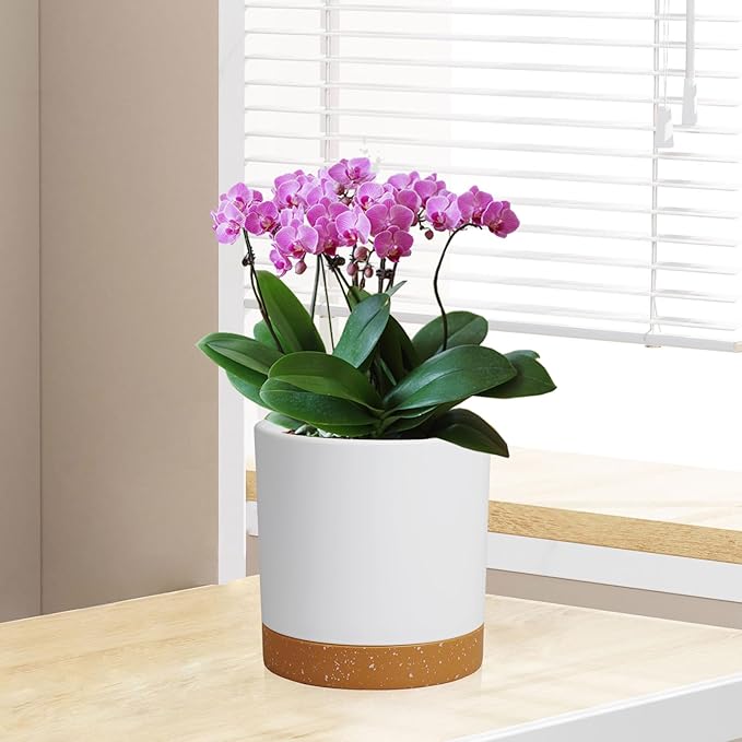 WSMKSZ 3 Pack 6/5/4 inch Cylindrical Flower Pots, Modern Small Round Plastic Plant Pots with Drainage Holes & Saucers, Clean and Refined Planter Pots for Outdoor, Indoor & Office Decor (White Brown)