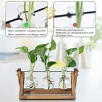 Kingbuy Desktop Glass Planter Iron and Wooden Stand Plant Terrariums for Indoor Office Desk Decor Accessories, 3 Bulb Vases, Brown