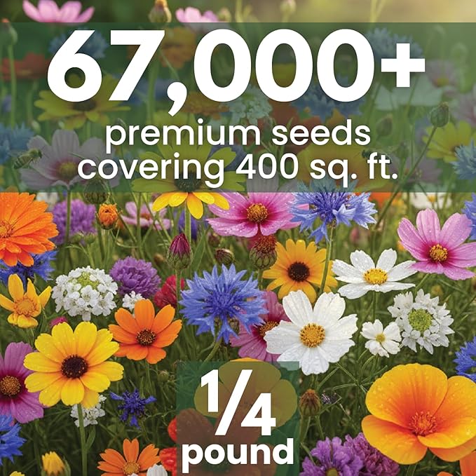 All Annual Quick Blooming Mix - 67,000 Flower Seeds for Planting - Wildflower Mix - Large 4 Ounce Packet