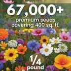 All Annual Quick Blooming Mix - 67,000 Flower Seeds for Planting - Wildflower Mix - Large 4 Ounce Packet