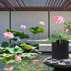12Pcs Lily Plant Pots for Pond, Aquatic Pond Planter for Pond Durable Breathe Reusable Fabric Plant Bags for Aquatic Plants, Potato, Carrot, Onion, Flower (3 Gallon)