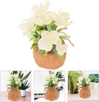 Faux Phalaenopsis Orchid Bonsai in Pot, Realistic Fake Orchid Flowers White Spray, Home Decor Artificial Phalaenopsis for Living Room and Office Table Display
