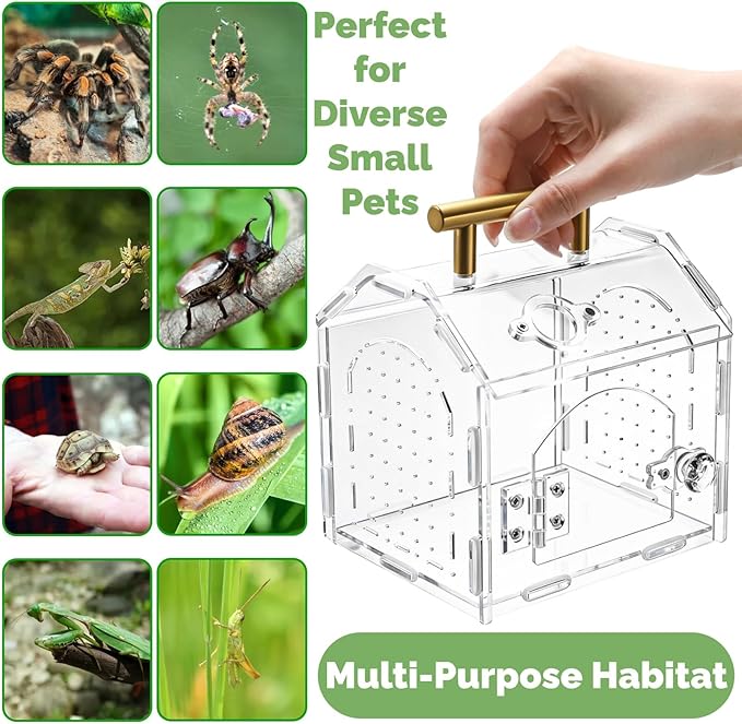 Tlence Jumping Spider Enclosure with Handle, Acrylic Reptile Habitat with One-Click Magnetic Closure, Front Opening Small Terrarium with Ventilation Holes for Tarantulas, Frogs, Gecko, Mantis