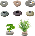 6 Pcs Natural River Stone Plant Weights for Aquarium, Pebble Aquatic Plants Fixed Ring, Aquarium Plant Anchors, Unique Shape & Size for Aquarium Landscape Decoration (0.79'' Hole Diameter)