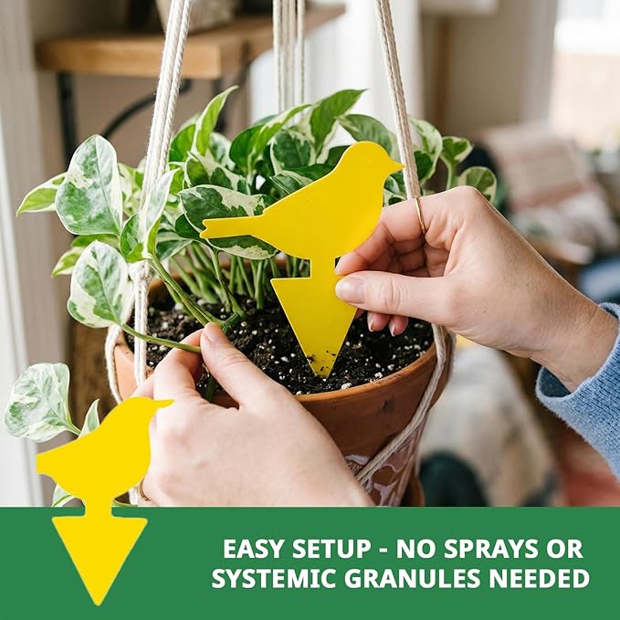Kate's Home & Garden 96 Count Fruit Fly Traps for Indoors and House. Yellow Sticky Trap for Gnats, Mosquitos, Plants, Ants