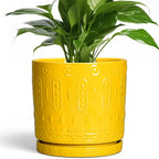 8 Inch Plant Pot, Ceramic Pots for Plants with Drainage Hole and Sacuer, Round Flower Pots for Indoor Outdoor Plants, Modern Decorative Planter, Table Decor, Plant Gifts for Women, Yellow