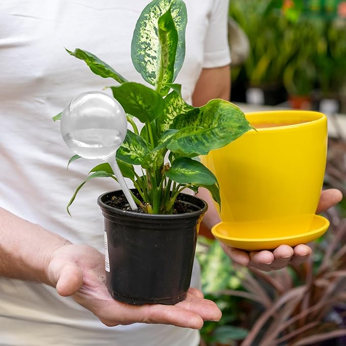 20 PCS Plant Watering Globes,Plastic Clear Watering Bulbs,Self Watering Flower Automatic Watering Device for Home Garden Plants Indoor,Outdoor,Flowerpot,(Large,Medium,Small)