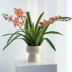 Set of 3pcs Real Touch Artificial Cymbidium Plants with Stems and Roots and 2pcs Orchid Flowers for Pot or Vase, Faux Orchid Stems That Look Real for Indoor Home Office Decor (Grn and YEL)