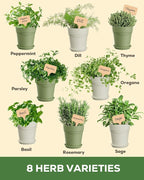 8 Herb Indoor Window Garden Kit – Complete Set with Tools – Unique Gift for Women, Mom, Friend – Birthday, Christmas, Mother's Day – Beginner Gardening Lovers for Kitchen Windowsill