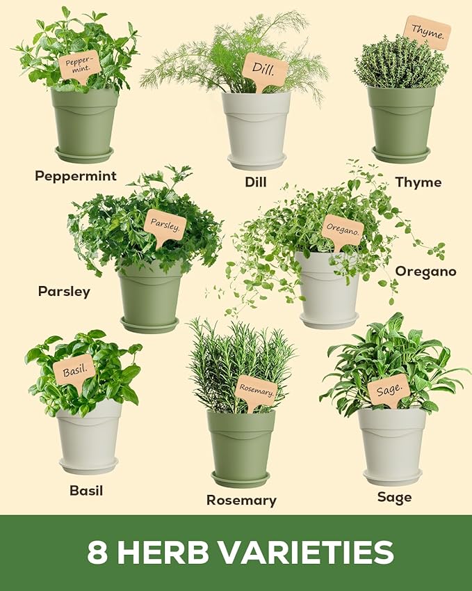 8 Herb Indoor Window Garden Kit – Complete Set with Tools – Unique Gift for Women, Mom, Friend – Birthday, Christmas, Mother's Day – Beginner Gardening Lovers for Kitchen Windowsill