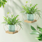 hismocal Hanging Planter for Indoor Plants, Plant Hanger with Sturdy Wood Base,Modern Boho Macrame Plant Hanger,Wall Ceiling Window Stands(Plants/Pots Not Included)