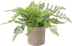 Briful Small Fake Plant Potted Plants Artificial Decor Plastic Boston Ferns Plant Faux Plants in Pots for Home Living Room Bedroom Desk Bathroom Shelf Farmhouse Decoration