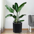 16in Flower Pot Set of 2, Self Watering Planters for Indoor Plants with Water Level Monitoring, Water Outlet for Garden Plant Pots, Patio, Balcony, Lounge, Front Porch Decor