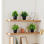 4 Pack Fake Plants Small Artificial Potted Plants for Home Office Desk Decor, Mini Faux Greenery with Black Pots, Assorted Artificial Grass & Leaf Plants for Indoor Shelf Bathroom Kitchen Decoration