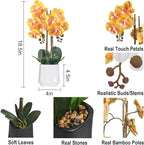Orchids Artificial Plant in Ceramic Pot 18.5" Faux Orchid Phalaenopsis Flowers Arrangement for Home Office Table Centerpiece Indoor Decor, Orange