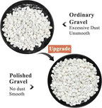 FANTIAN 10 lbs White Pebbles for Indoor Plants, 3/8 Inch Decorative White Stones. Polished River Rocks for Potted Plants Vase Cactus Bird Bath and Outdoor Garden Landscaping