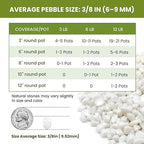 3/8 Inch Polished Decorative Pebbles, River Rocks for Indoor Plants, Succulents, Planters, Vases, Fish Tank, Aquarium Gravel & Landscaping, Snow White, 3LB