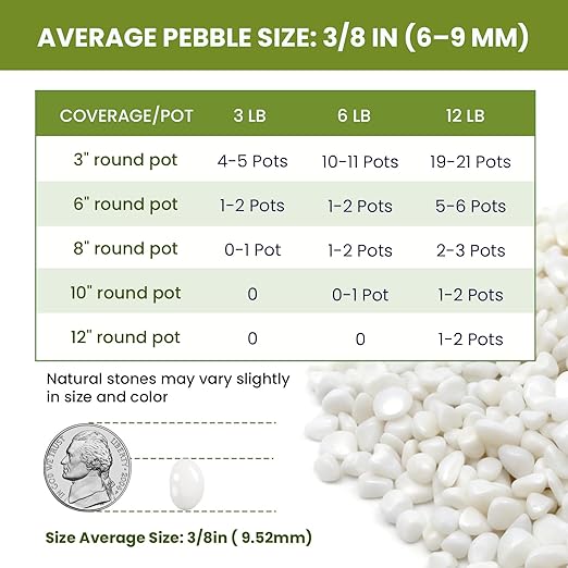 3/8 Inch Polished Decorative Pebbles, River Rocks for Indoor Plants, Succulents, Planters, Vases, Fish Tank, Aquarium Gravel & Landscaping, Snow White, 12LB