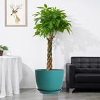 UOUZ 12/10/9 Large Modern Plant Pots, Plastic Planters with Drainage Holes and Saucers for Indoor Outdoor Plants Flowers, Malachite Green