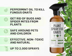 Kate's Home & Garden Plant Spray for Insects & Getting Rid of Gnats with 12 Sticky Traps. Fungus Gnat Killer & Bug Spray for Indoor Plants (16oz, Peppermint, Pet Safe, Non Toxic)