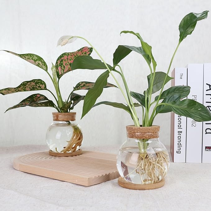 Plant Propagation Station,Hydroponic Glass Container Vase Jars, with Wooden Saucer for Desks, Houses, Garden Decorations, Home Kitchen Decorations and Gifts for Plant Lovers (6)