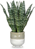 Hollyone Fake Snake Plant 13.5 Inch Large Artificial Snake Plant Potted with Ceramic Pot Faux Sansevieria Plant for Home Office Room Indoor Decor Housewarming Gifts