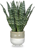 Hollyone Fake Snake Plant 13.5 Inch Large Artificial Snake Plant Potted with Ceramic Pot Faux Sansevieria Plant for Home Office Room Indoor Decor Housewarming Gifts