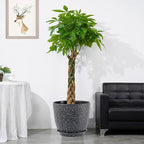 UOUZ 12inch Large Plant Pot, Modern Plastic Planter with High Driange Holes and Saucer for Indoor Outdoor Garden Plants and Flowers, Black Speckles