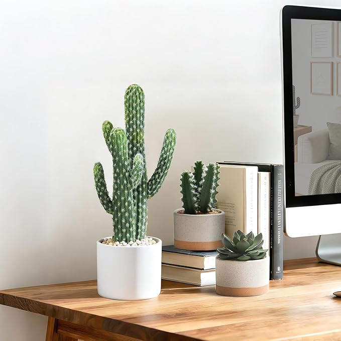Artificial Cactus Plants - Potted Succulents in Ceramic, Faux Cacti and Succulent Decor for Home, Office Desk，Living Room-1pack