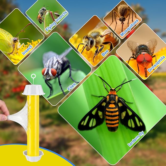 Qualirey 8 Pcs Fly Traps for Indoor Outdoor Hanging Fruit Fly Stick Trap Sticky Mosquito for Home Insect 10 x 2.5 Inches (Bright,Yellow)