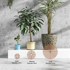 Plant Pot Grids 3pcs Flower Pot Cover Grid Garden Soil Guard Plant Protector Home Indoor Repel Cat Dog Protection(Coffee,52cm)