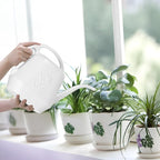 Plant Watering Can - 1/2 Gallon - White