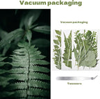 63 Pcs Dried Flowers for Resin, 21 Styles Pressed Leaves , Natural Dry Leaves for Pressed Leaf Art Craft DIY Embellishment Decorations