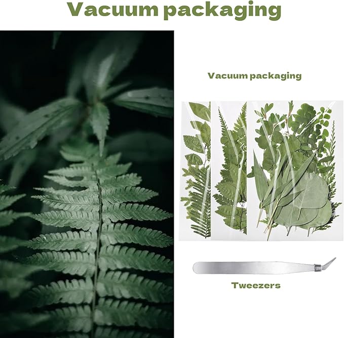 63 Pcs Dried Flowers for Resin, 21 Styles Pressed Leaves , Natural Dry Leaves for Pressed Leaf Art Craft DIY Embellishment Decorations