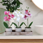 Winlyn Set of 3 Small Artificial Orchid Potted Plants Arrangement with Rustic Wood Planter Box Real Touch Faux Phalaenopsis Moth Orchid Flowers in Pots for Home Office Desk Shelf Table Centerpiece