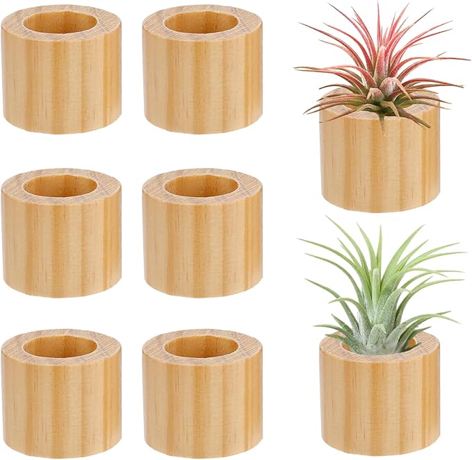 Bigmeta 6 Pcs Wood Air Plant Holder - 1.2" Rustic Style Airplant Display Stands for Women Gifts