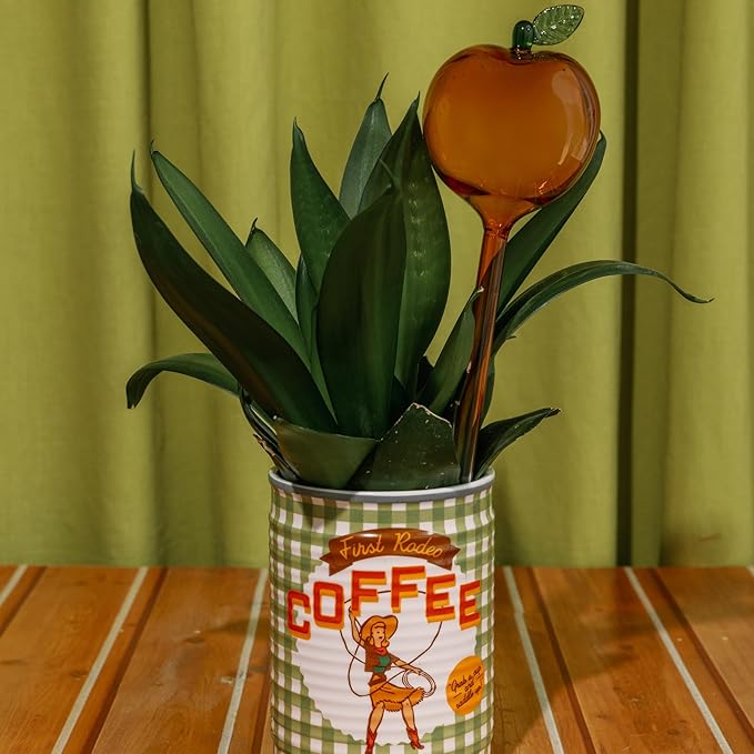 ban.do Novelty Ceramic Planter with Drainage Hole, Decorative Plant Pot, Planters for Indoor Plants, Cute Decor, Unique Planter, Coffee Can
