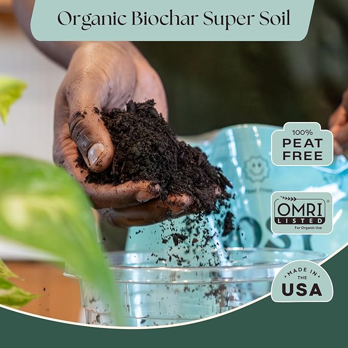 Rosy Soil Indoor Plant Parent Gift Set for Mother's Day - Houseplant Potting Soil with Modern Sprout Terracotta Watering Bulb, Soil Scoop, Plant Brush & Tweezers