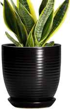 6 Inch Plant Pot - Ceramic Planters for Indoor Outdoor Plants, Modern Flower Pots with Drainage Hole and Saucer, Round Ceramic Planter, Office Room Decor, Gifts for Plant Lovers, Matte Black