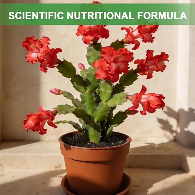 All-Natural Christmas Cactus Potting Soil Mix 4qt- Premium Well-Draining & Aerated ，Designed Specifically for Succulents and Cacti