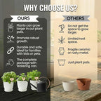 Indoor Garden Kit - Plant Pots with Drainage, Watering Can & Tools - Ideal Windowsill Planter Set - Modern Home & Kitchen Decor Gift - White