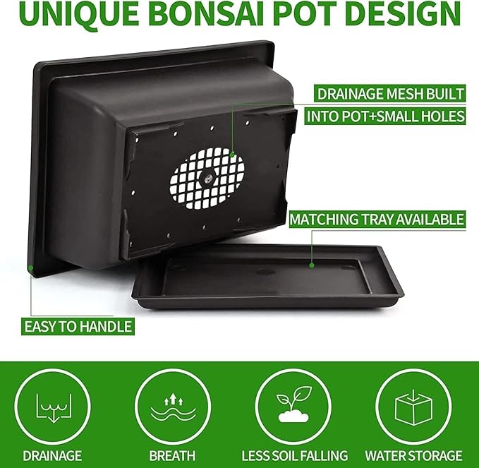 Indoor Bonsai Starter Kit - 5 Seeds Growing Complete Set with Gardening Tools for Beginners, Home DIY Mini Garden Gift for Adults