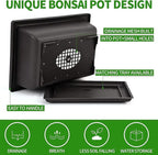 Indoor Bonsai Starter Kit - 5 Seeds Growing Complete Set with Gardening Tools for Beginners, Home DIY Mini Garden Gift for Adults