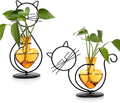 Plant Terrarium Plants Propagation Station Cat Lover Gifts for Women Home Office Decor Cat Desk Accessories