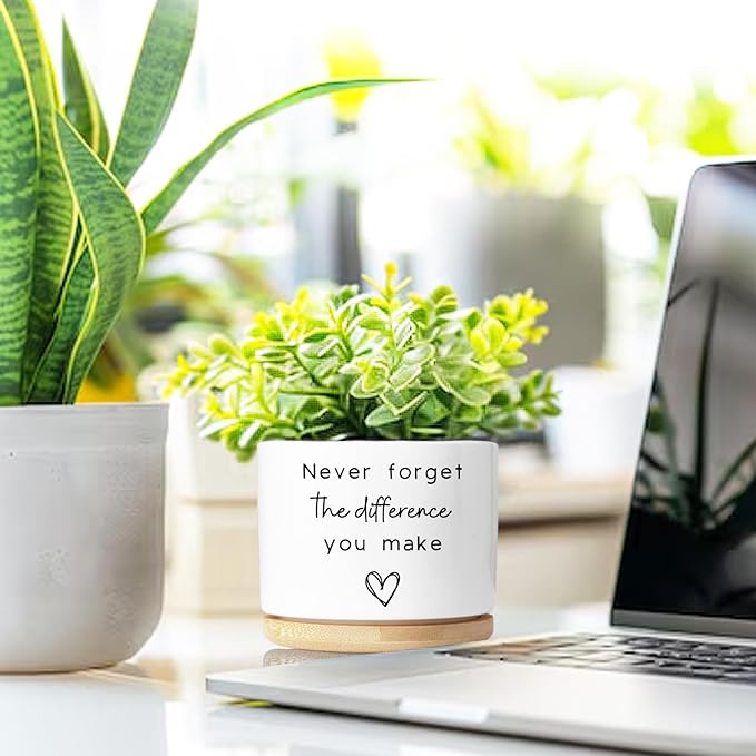 Cute Succulent Planter, Flower Cactus Plant Pot Gifts, Going Away Farewell Thank You Inspirational Employee Appreciation Gifts for Women Men Coworkers Boss Lady Manager (No Plants)