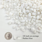 FANTIAN 5 lbs White Pebbles for Indoor Plants, 3/8 Inch Decorative White Gravel, Polished River Rocks for Potted Plants Vase Cactus Bird Bath and Outdoor Garden Landscaping