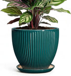 Ceramic Flower Pots, 6 Inch Planters with Drainage Hole and Saucer, Decorative Round Plant Pots for Indoor Plants, Modern Succulent Pot, Office Bedroom Decor, Plant Lover Gifts, Blackish Green
