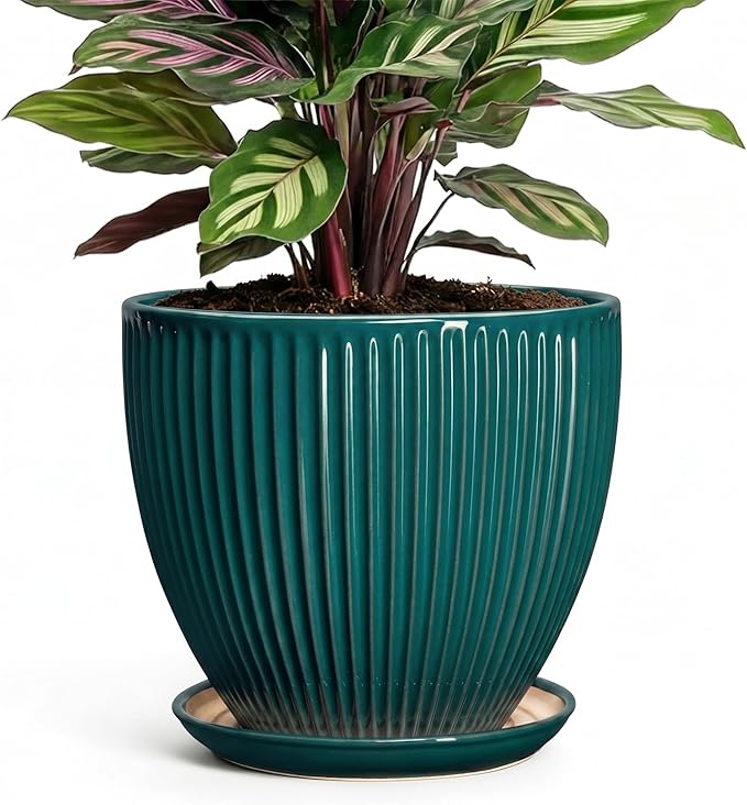 Ceramic Flower Pots, 6 Inch Planters with Drainage Hole and Saucer, Decorative Round Plant Pots for Indoor Plants, Modern Succulent Pot, Office Bedroom Decor, Plant Lover Gifts, Blackish Green