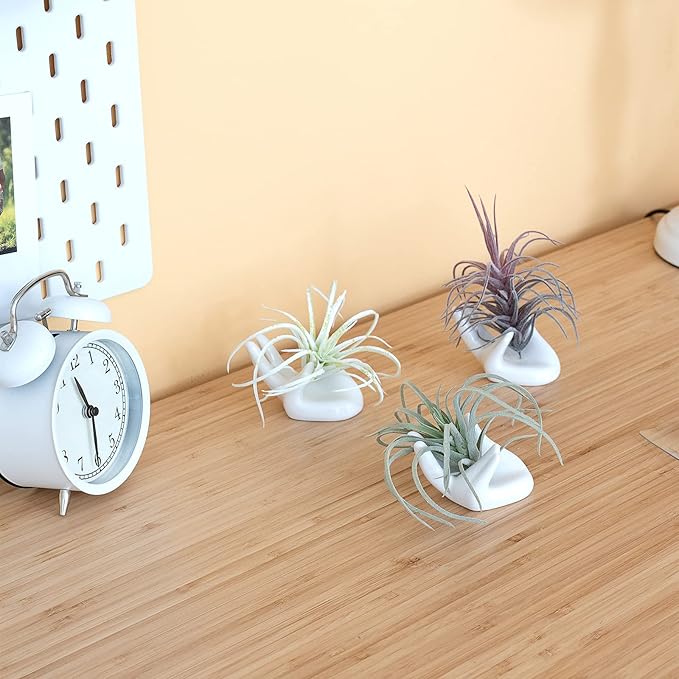Dahey Air Plant Holder Cute Ceramic Mini Hand Shape Stand Airplants Tillandsia Small Container Pot Plant Decorative Home Decor for Desk Table Shelf,White,3 Packs
