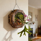 8.18 Inches Staghorn Fern Mounting Kit Orchid Mounting Wood Hanging Plant Frame Wall Planter Plant Holder Basket for Orchids Staghorn Fern Tropical Plants (208x208x60mm)